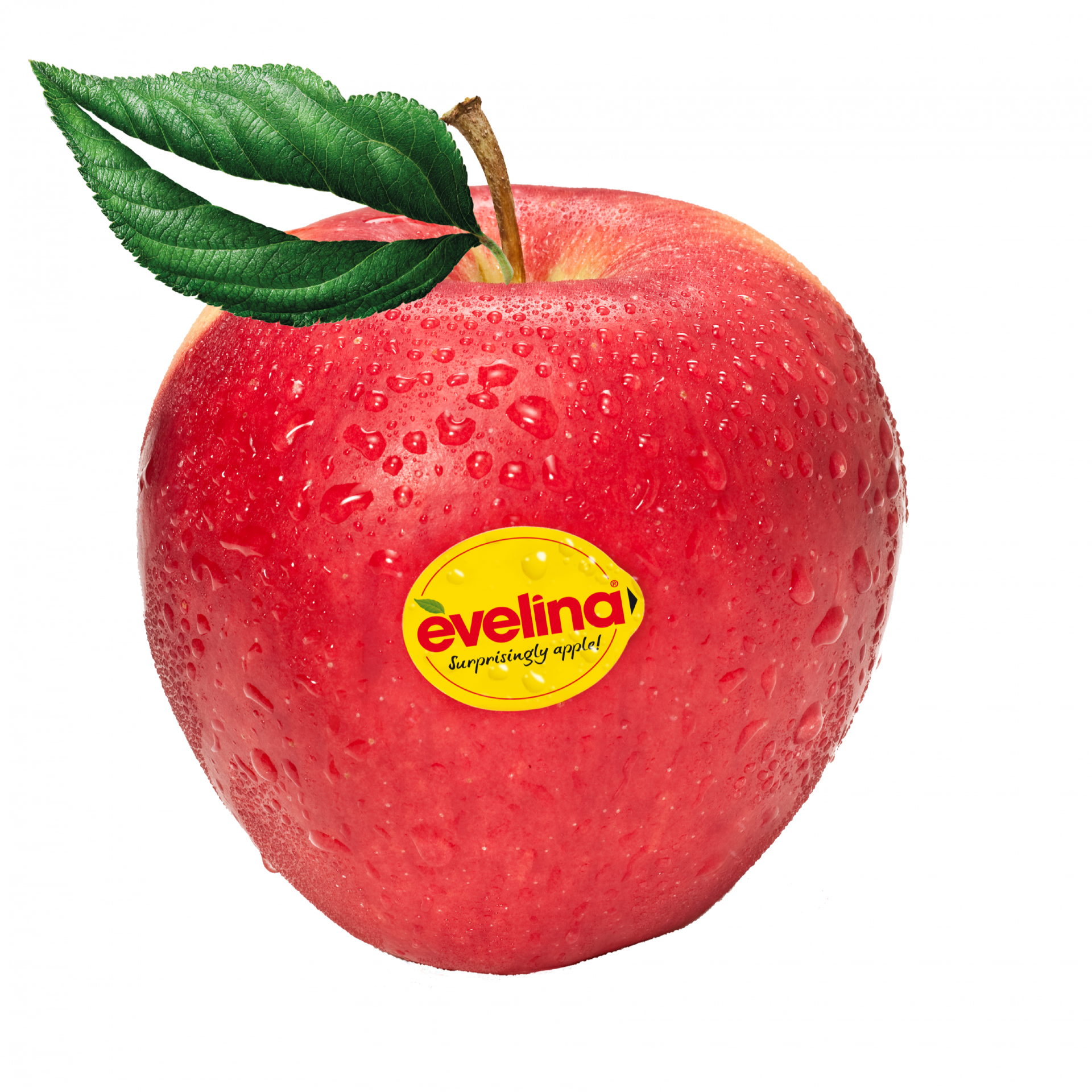“Al onze Evelina-appelen zijn dit jaar bestemd voor de Belgische markt”